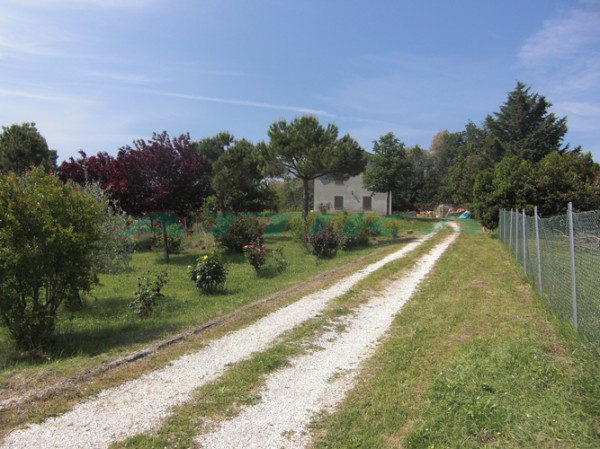 Rustico - Cascina CARTOCETO vendita   Provinciale Sant'Anna Attika