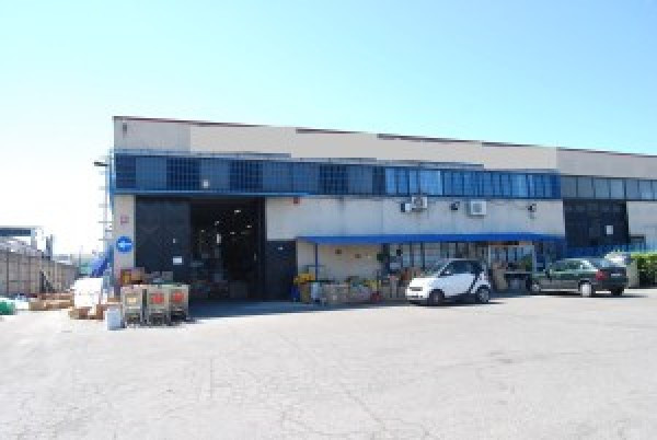 Capannoni (Tutti) ROMA affitto  Gregna Sant'Andrea  Mariani Rei srl