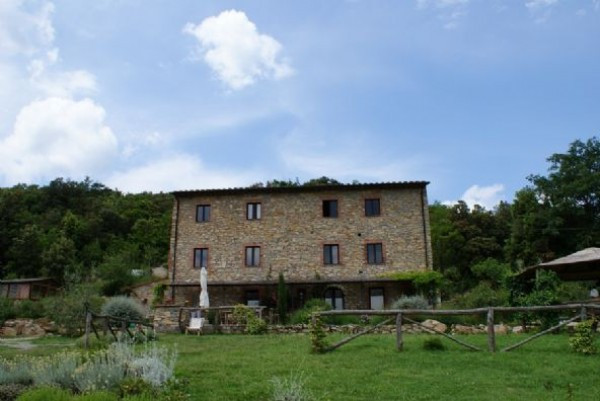  monterotondo-marittimo vendita quart:  area-immobiliare