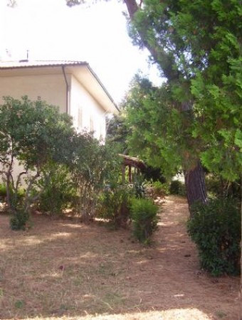 Rustico - Cascina CASTIGLIONE DELLA PESCAIA vendita    AreA immobiliare