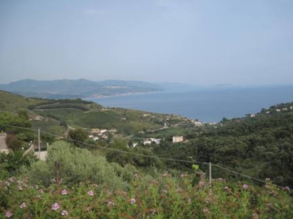 Vendita Appartamento Pollica Pioppi