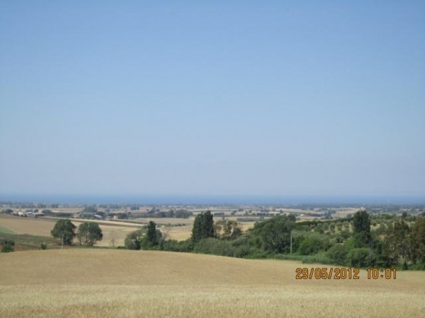 Rustico - Cascina TARQUINIA vendita    Etruscasa Immobiliare