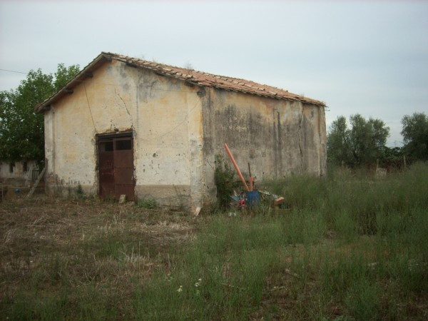  lanuvio vendita quart:  grimaldi immobiliare