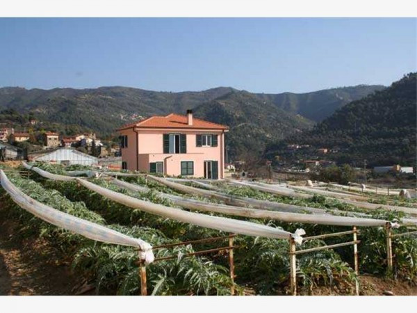 Villa VENTIMIGLIA vendita  Varase  AGENZIA IMMOBILIARE DE AMICIS