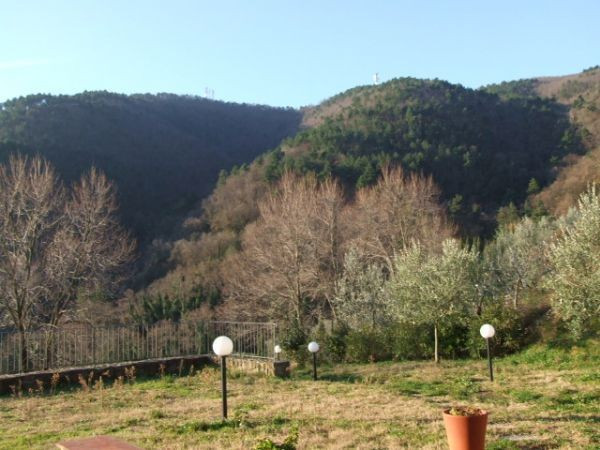  carmignano vendita quart:  il-merlo-bianco-immobiliare