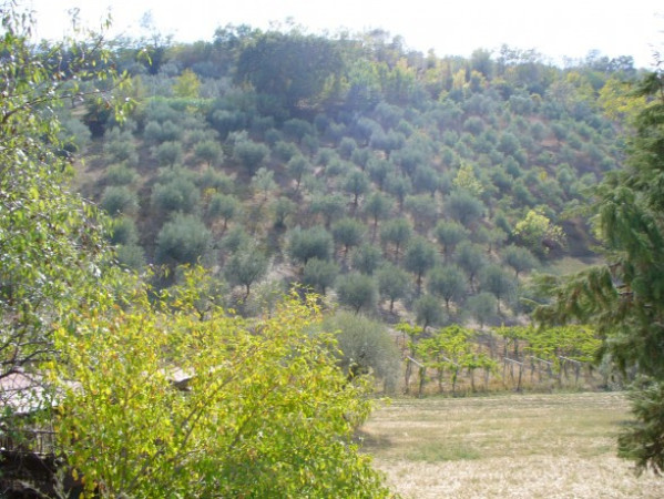 Rustico - Cascina ATRI vendita    Mondo Nuovo di  Anita di Francesco