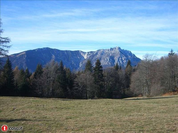 Appartamento LAVARONE vendita    ImmobilTrentino