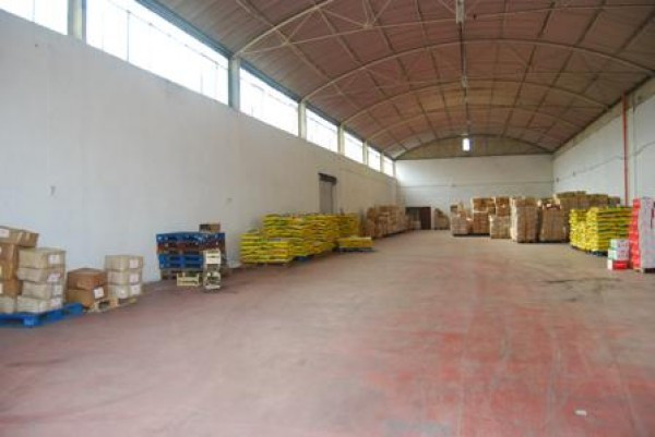 Capannoni (Tutti) ROMA affitto  ROMANINA SCIMONELLI Mariani Rei srl