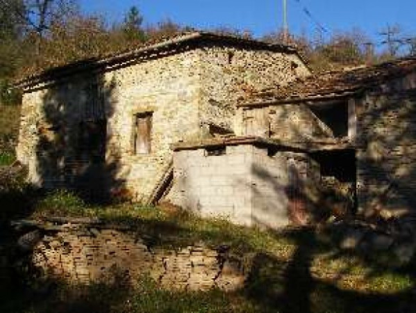 Rustico - Cascina SAN GIUSTINO vendita   Europa LEONARDI IMMOBILIARE