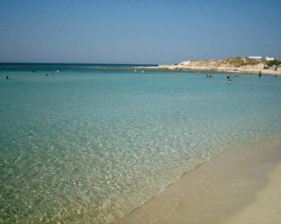  porto-cesareo affitto quart: torre lapillo idea-casa