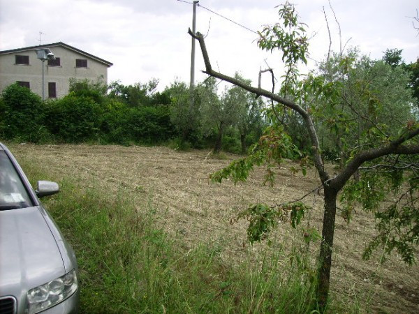 Rustico - Cascina SAN POTITO SANNITICO vendita    Immobilcasa Srl