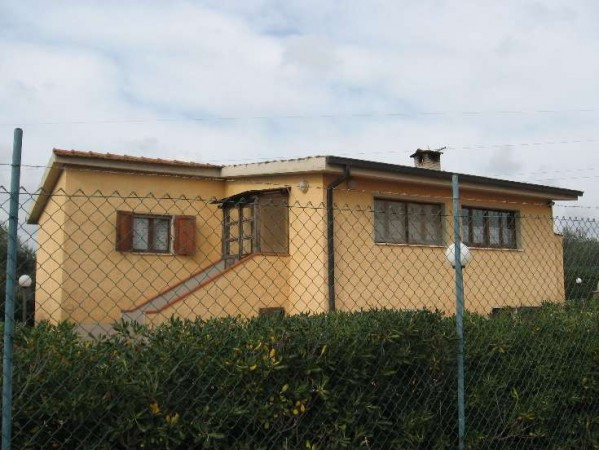 Rustico - Cascina FOLLONICA vendita    AreA immobiliare