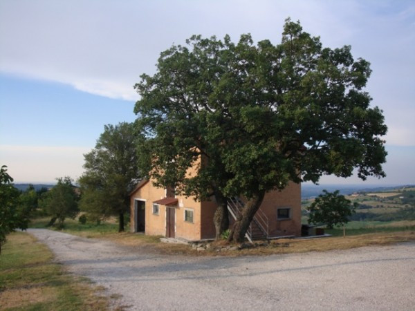 Rustico - Cascina GUIGLIA vendita    ARIA IMMOBILIARE DI RIZZI ALESSANDRO