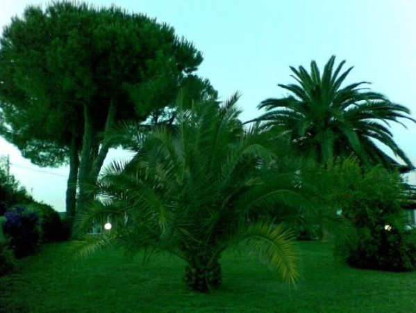 Villa FOLLONICA vendita    Vivere a Siena di Daniele Parri