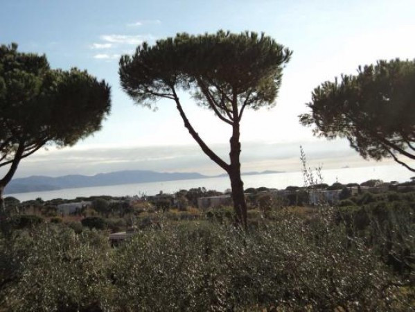 Villa FOLLONICA vendita    Vivere a Siena di Daniele Parri