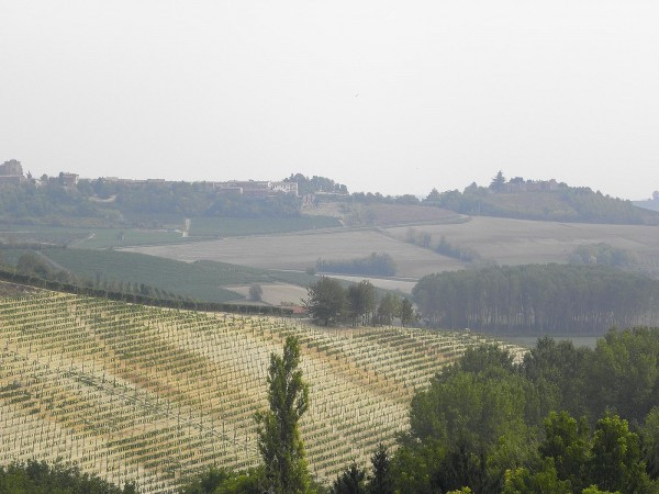 Rustico - Cascina GRAZZANO BADOGLIO vendita    Studio Moncalvo  La tua Agenzia Immobiliare