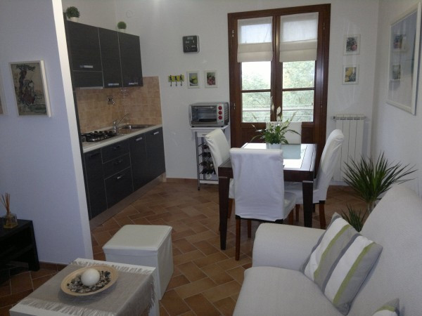 Appartamento FAUGLIA vendita   Fauglia B&amp;B immobiliare