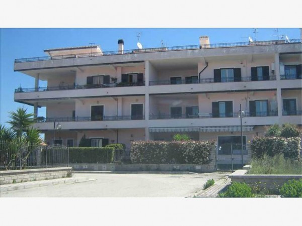 Appartamento CELLOLE vendita    L.M.F. FIN. IMM. SRL - Luciano Immobiliare Baia Do