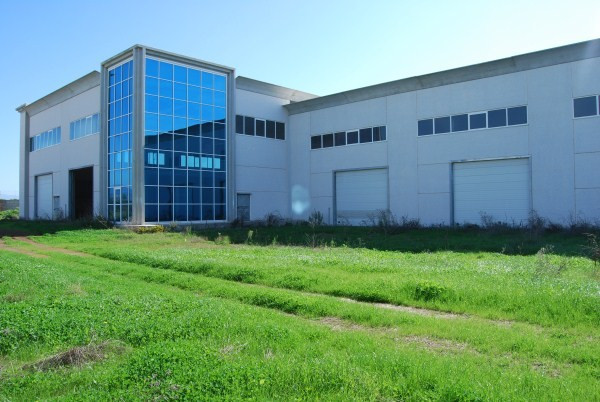 Capannoni (Tutti) ROMA vendita  CASTEL DI LEVA (ZONA DELLA XII MUN.) di Vallerano Mariani Rei srl