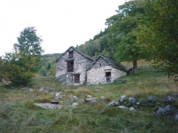  crevoladossola vendita quart: pontemaglio rusticoinossola