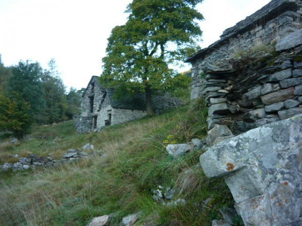 Rustico - Cascina CREVOLADOSSOLA vendita  Pontemaglio Frazione Pontemaglio Rusticoinossola