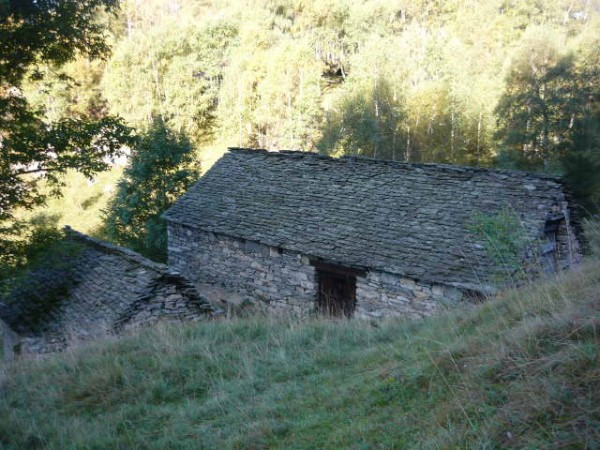 Rustico - Cascina CREVOLADOSSOLA vendita  Pontemaglio Frazione Pontemaglio Rusticoinossola