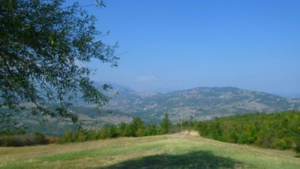 Rustico - Cascina LIZZANO IN BELVEDERE vendita  Rocca Corneta  Conforti Immobiliare