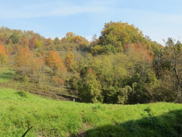 Rustico - Cascina GODIASCO vendita   Ardivestra Rete Casa Group