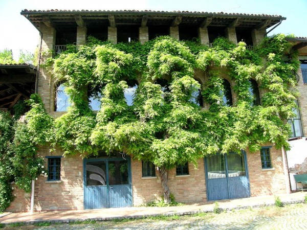 Rustico - Cascina CASALBORGONE vendita    Esserci agenzia immobiliare