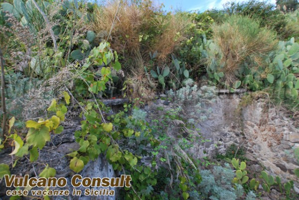 Rustico - Cascina LIPARI vendita   Collo Pirrera Vulcano Consult Lipari Real Estate