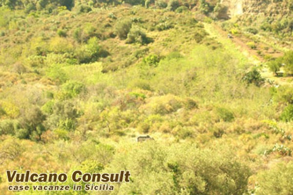 Rustico - Cascina LIPARI vendita  Pianoconte Lipari Santa Margherita Vulcano Consult Lipari Real Estate