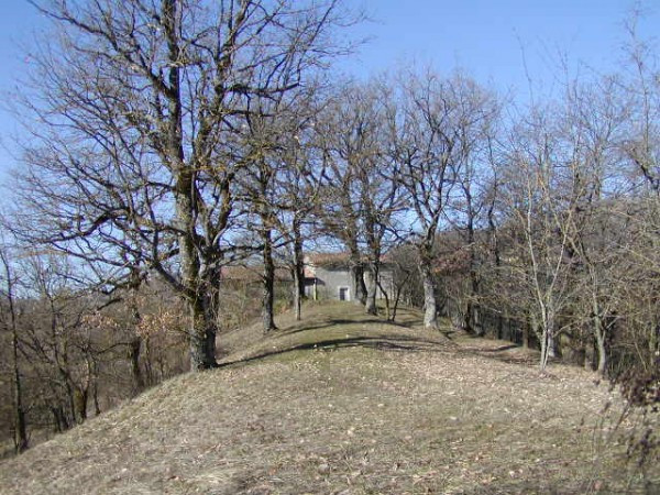 Rustico - Cascina MONTESE vendita    LaCasa Agenzia Immobliare