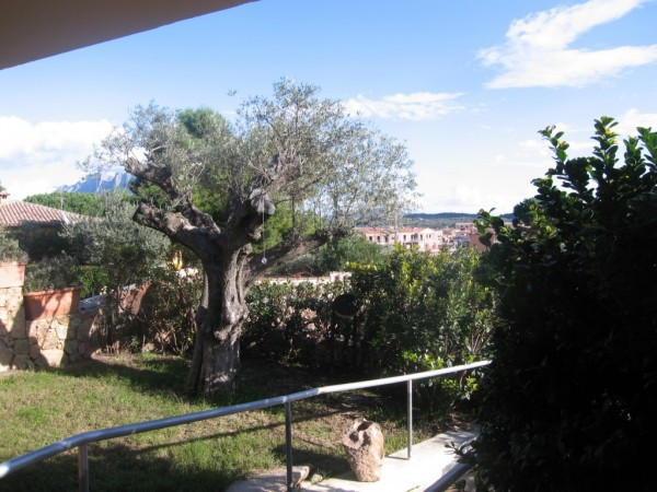 Villa LOIRI PORTO SAN PAOLO vendita  Porto San Paolo Tiziano IMMOBILIARE TALA