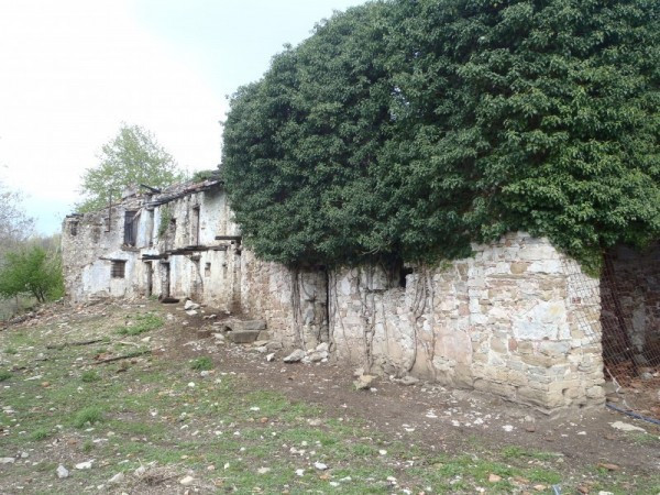 Rustico - Cascina CIVIDALE DEL FRIULI vendita    Immobiliare Bile S.n.c.