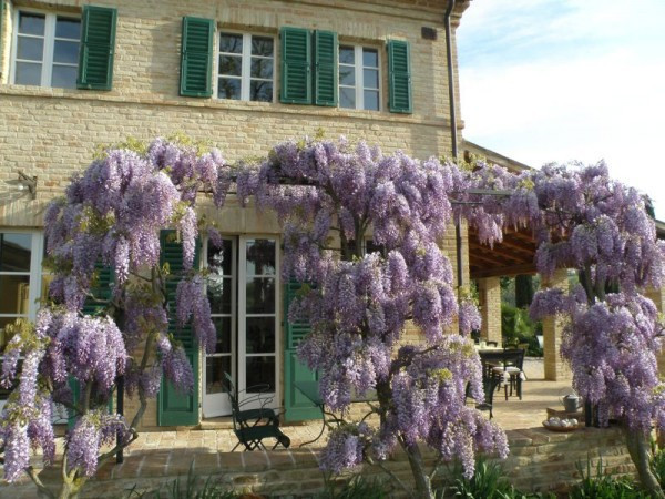 Villa CORINALDO vendita   Giuseppe Garibaldi Il Casolare