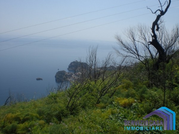 Appartamento TAORMINA vendita    Servizio Casa