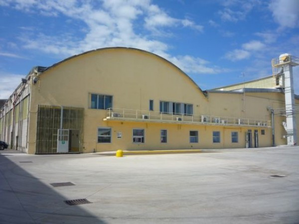 capannone Vendita Cologna Veneta
