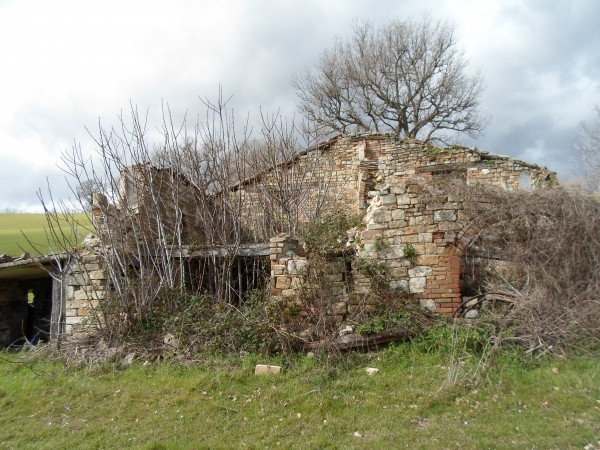 Rustico - Cascina SANTA VITTORIA IN MATENANO vendita   Provinciale 42 AVIO FIORAVANTI