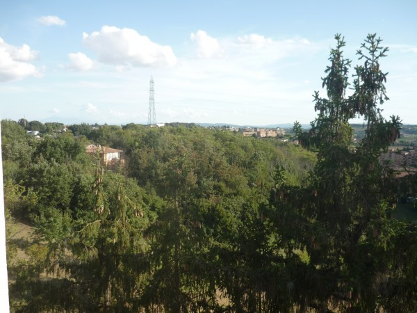 Appartamento SIENA vendita   FIORENTINA CASSIA NORD,26 IMMOBILIARE TUSCANY