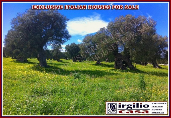 Rustico - Cascina OSTUNI vendita   Provinciale 20 Virgilio Casa Real Estate