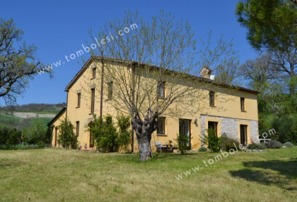 Rustico - Cascina PERGOLA vendita  Ponte Della Simonetta Provinciale Tarugo Tombolesi Italian Real Estate