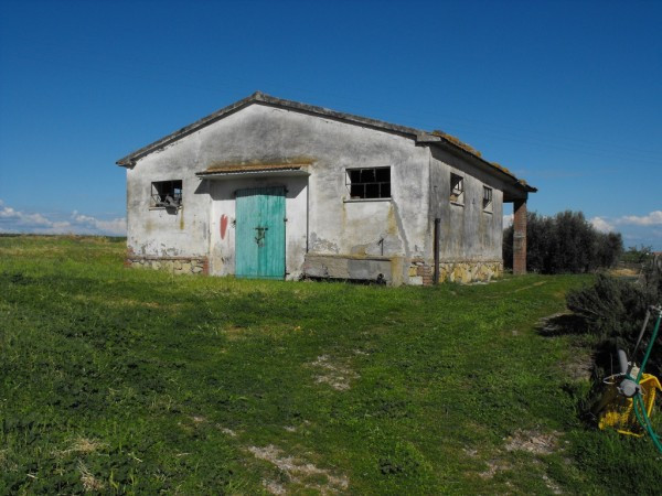 Rustico - Cascina CAPALBIO vendita   Unnamed Road immobiliare Alessandra