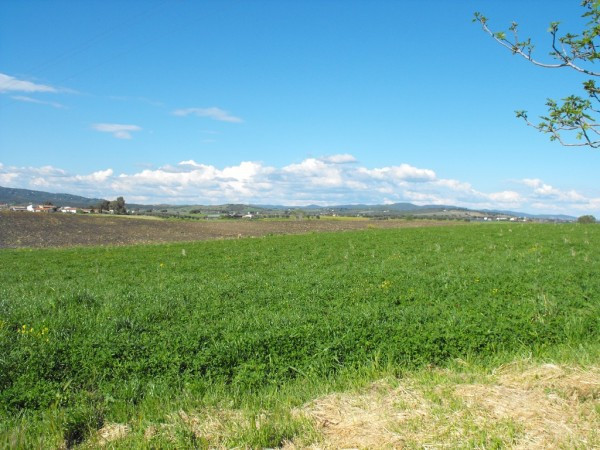 Rustico - Cascina CAPALBIO vendita   Unnamed Road immobiliare Alessandra