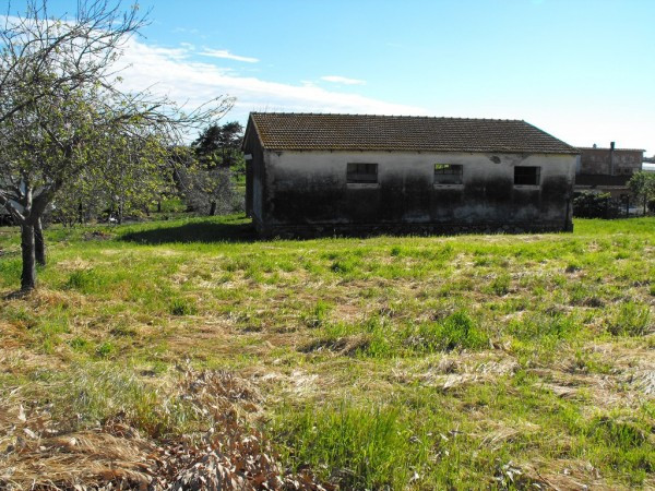 Rustico - Cascina CAPALBIO vendita   Unnamed Road immobiliare Alessandra