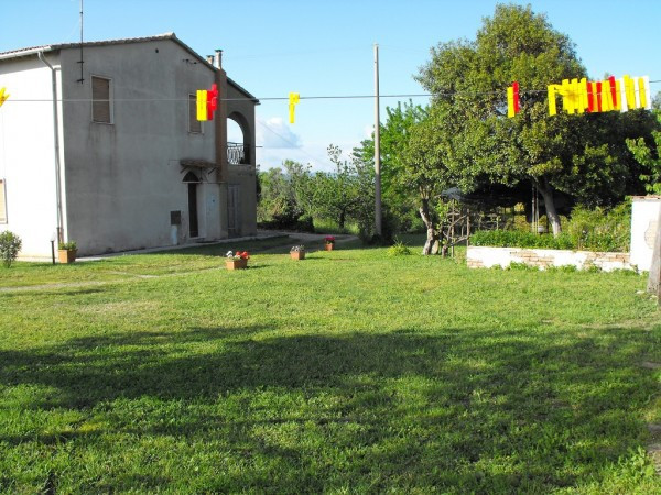 Appartamento MONTALTO DI CASTRO vendita  Pescia Romana delle Magnolie immobiliare Alessandra