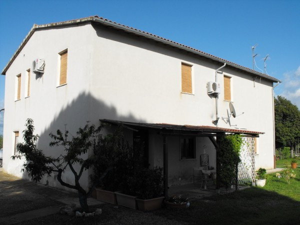 Appartamento MONTALTO DI CASTRO vendita  Pescia Romana delle Magnolie immobiliare Alessandra