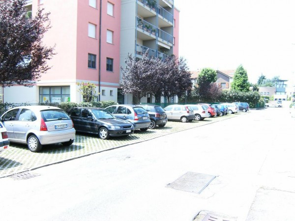 negozio Affitto Segrate