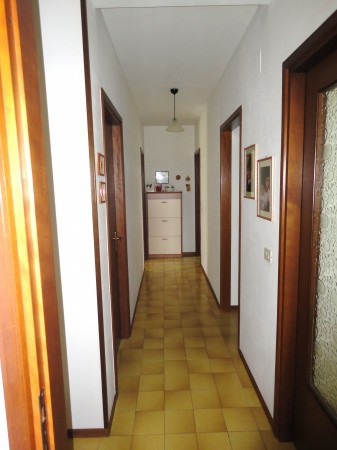 Appartamento CASCINA vendita  Casciavola Alberto Profeti Agenzia Immobiliare Morganti Adriano