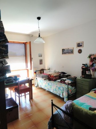 Appartamento CASCINA vendita  Casciavola Alberto Profeti Agenzia Immobiliare Morganti Adriano