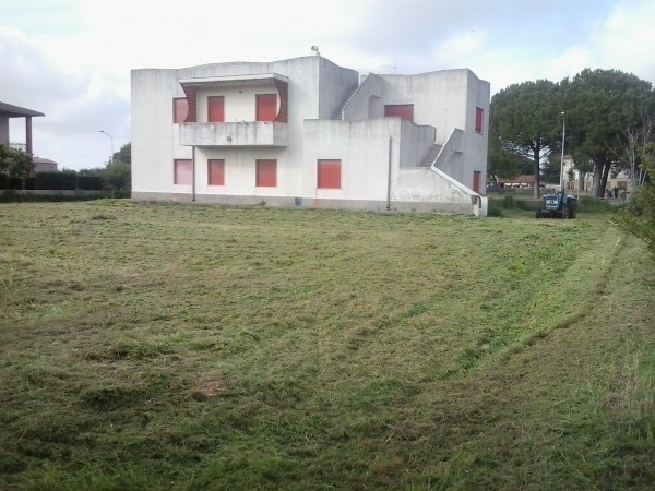 Affitto Appartamento Montalto di Castro Montalto di Castro